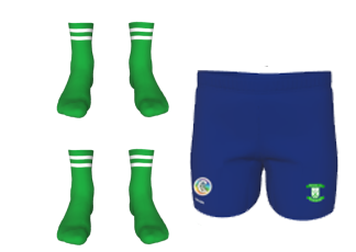 Ferrybank Camogie Club shorts & socks offer