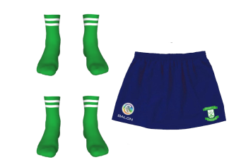 Ferrybank Camogie Club Skort & socks offer
